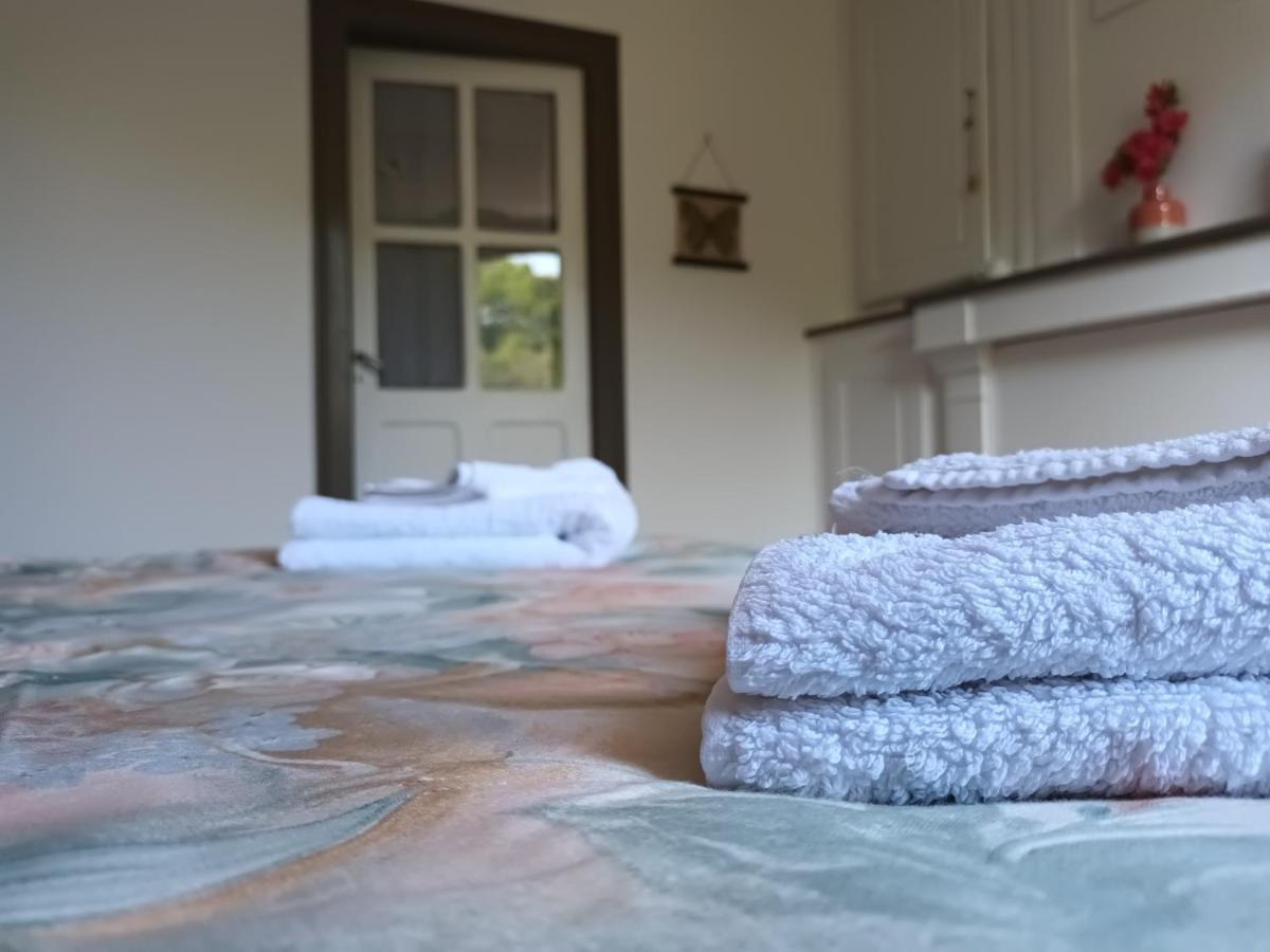Chambres D'Hotes Le Veilleur De Noblat Saint-Léonard-de-Noblat Esterno foto